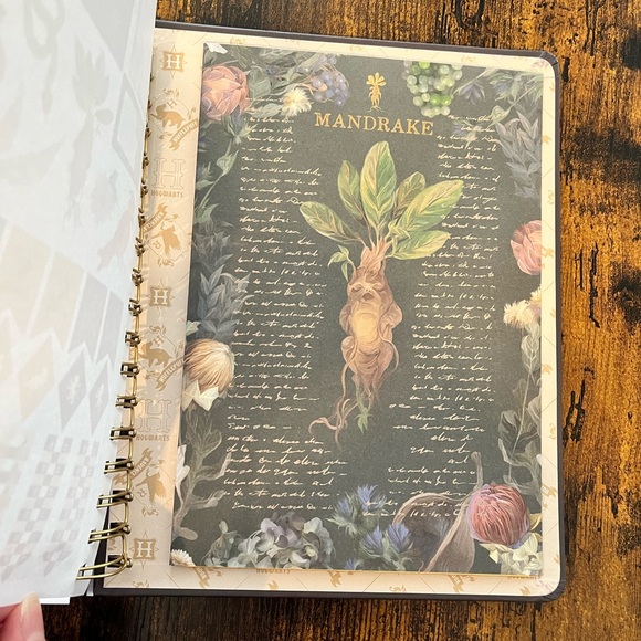 ⚡️NEW - Insights 12-Month Undated Planner Harry Potter Hogwarts - Picture 13 of 13